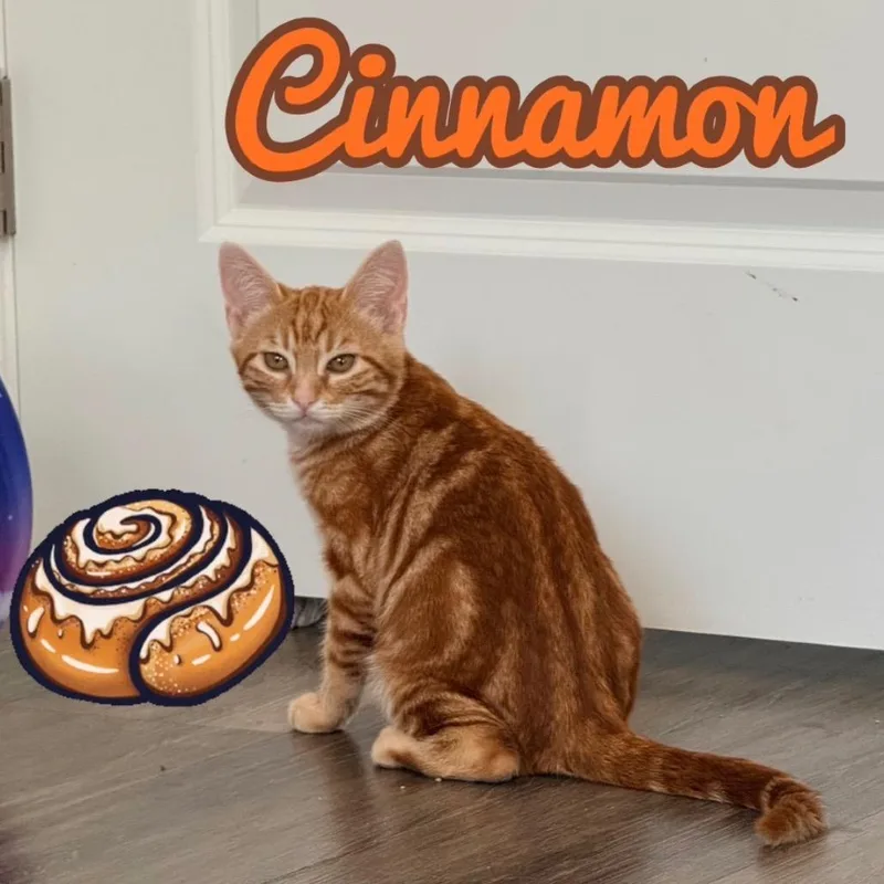 Cinnamon