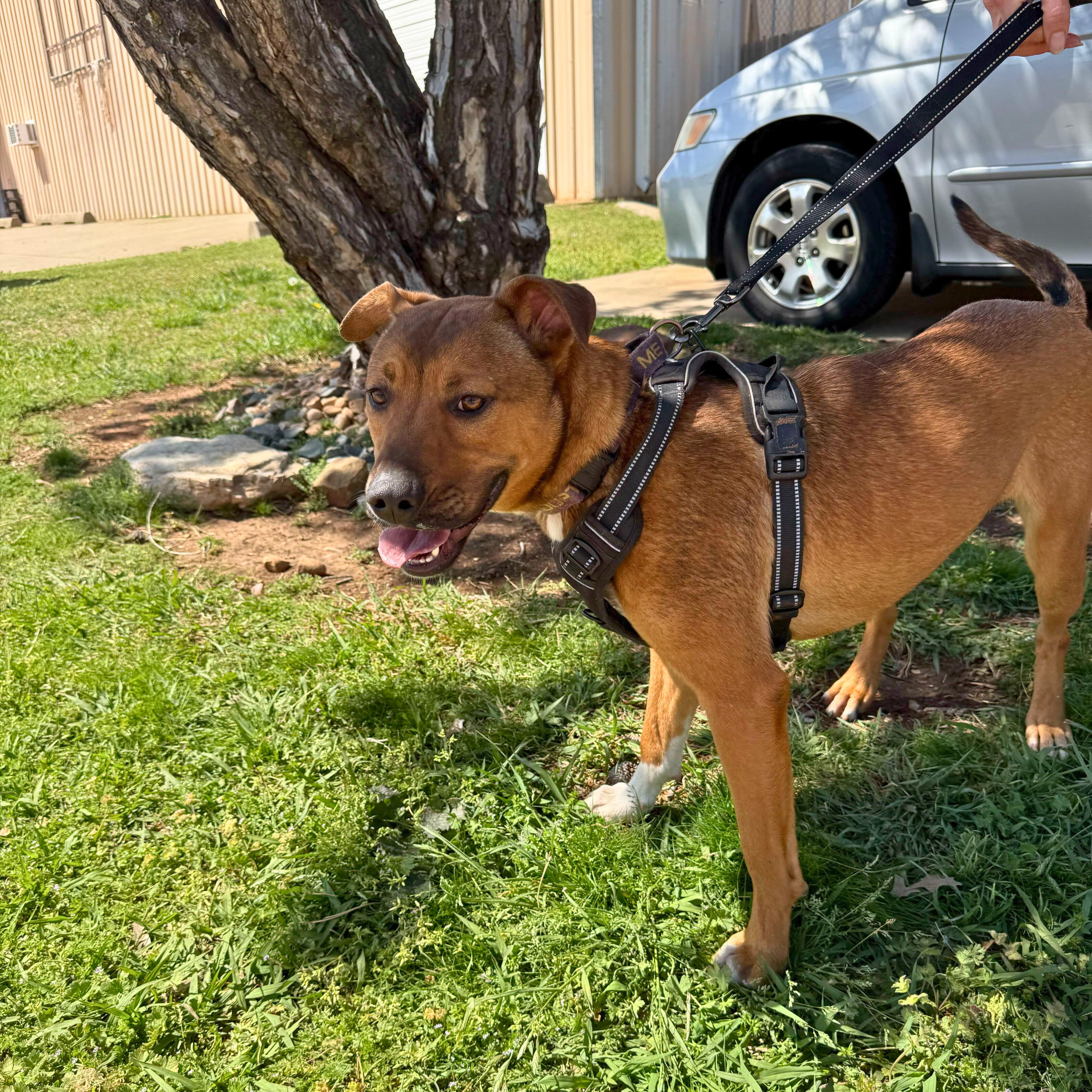 Bailey Katie thumbnail 2