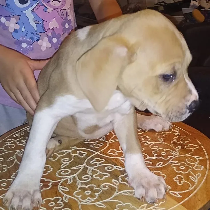 Buster