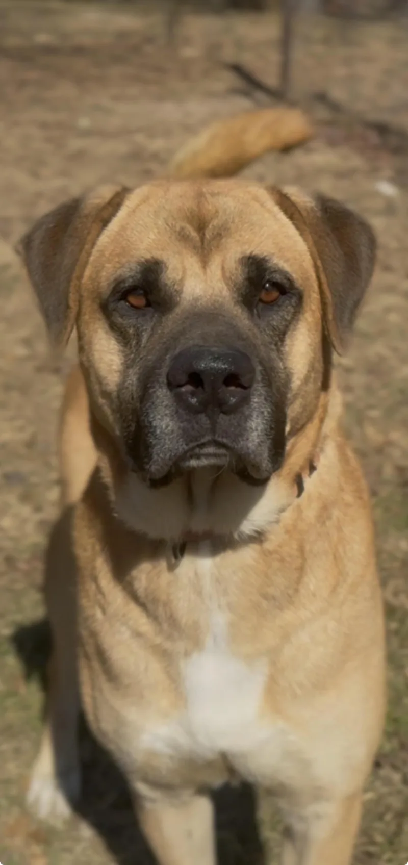 Tiny  The Biggie thumbnail 3