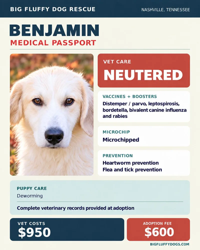 Benjamin thumbnail 2
