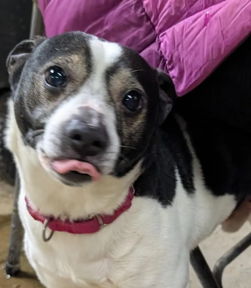 Finnegan thumbnail 2