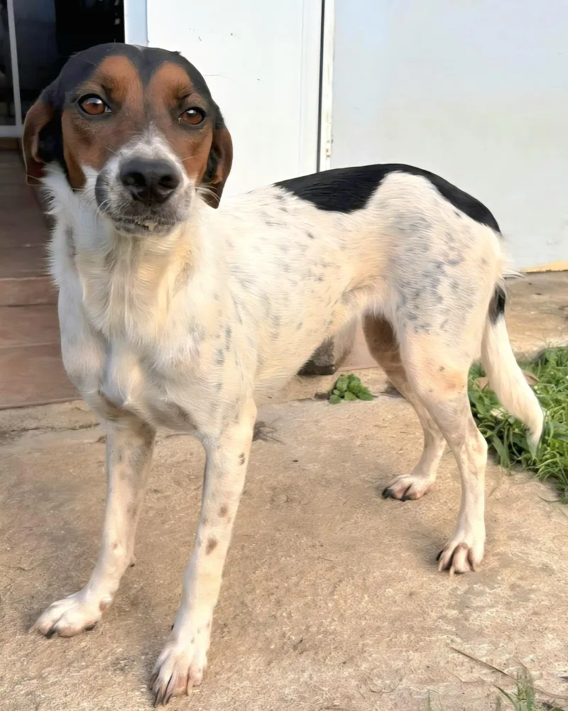 Alluka "my Look Is thumbnail 2