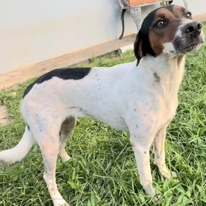 Alluka "my Look Is thumbnail 3