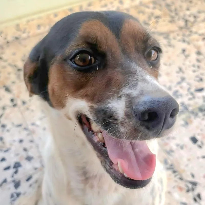 Alluka "my Look Is thumbnail 4