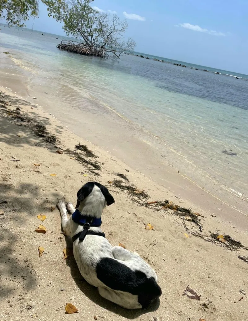 Alluka "my Look Is thumbnail 5