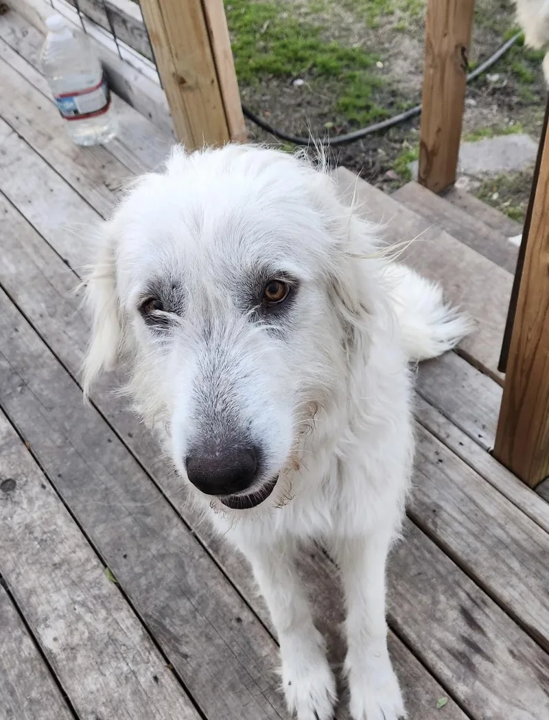 Meadow Dfw thumbnail 2