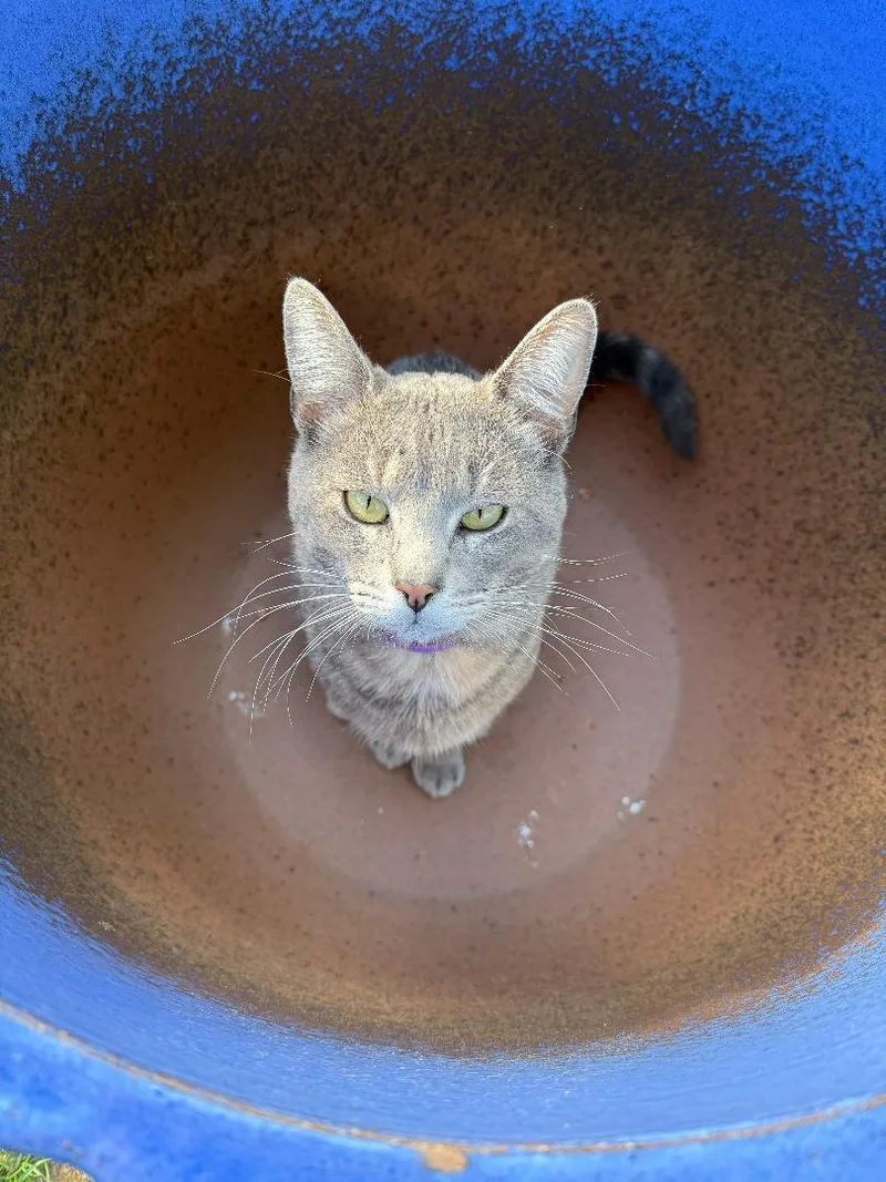 Vinny R  Courtesy thumbnail 2