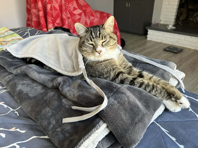 Mewtwo Girl thumbnail 2