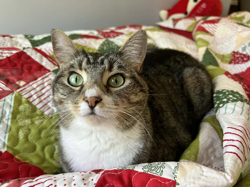 Mewtwo Girl thumbnail 3