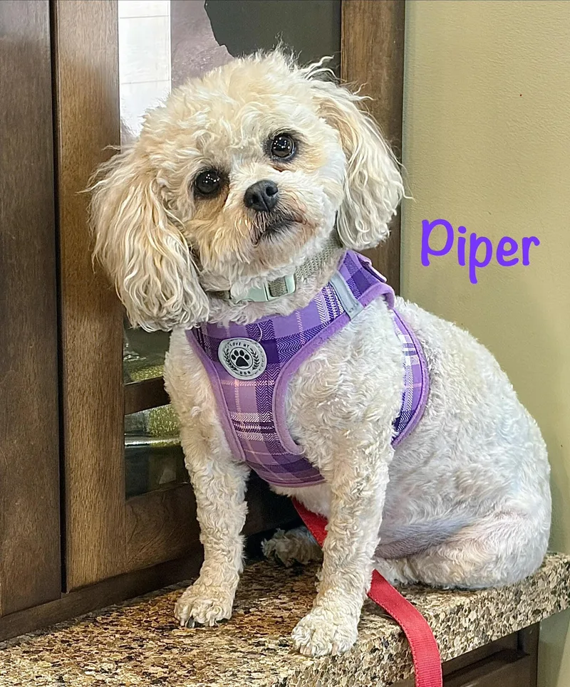 Piper  WI thumbnail 2