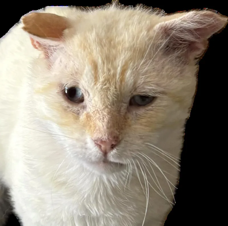 Clint thumbnail 3