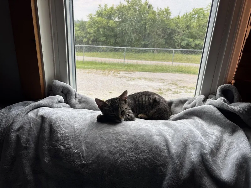 Bubba
