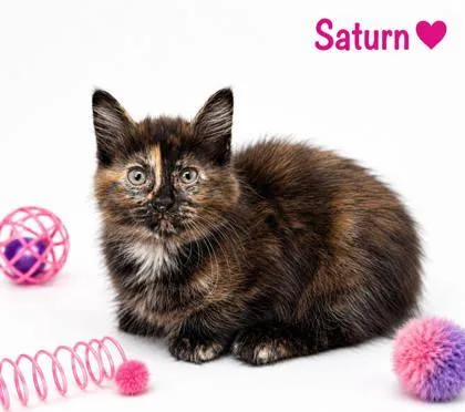 Saturn