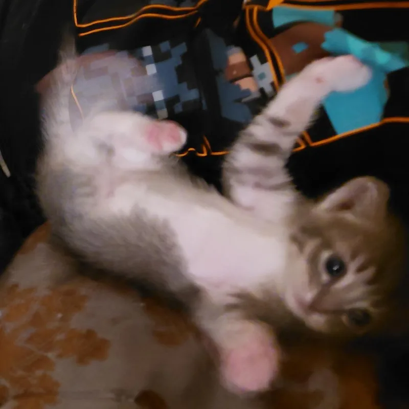 French Toast thumbnail 2