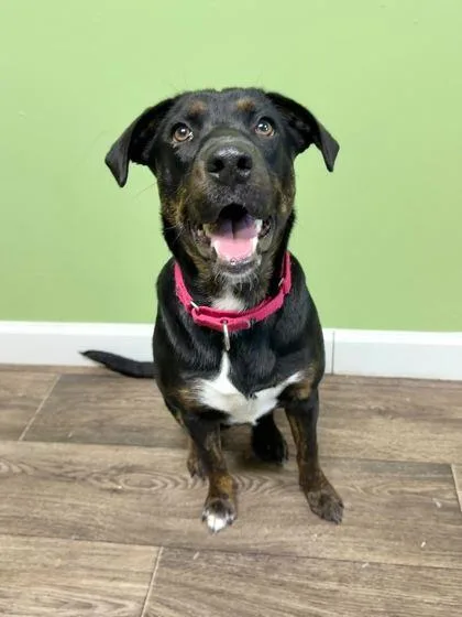 Nancy Wheeler thumbnail 2