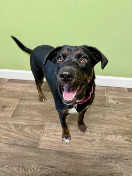 Nancy Wheeler thumbnail 3