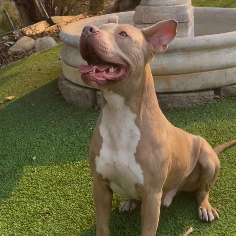 Finn Such A Sweet thumbnail 6