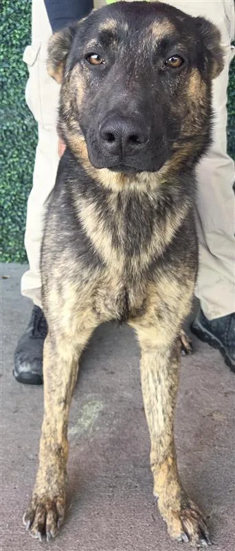 60647812 thumbnail 2