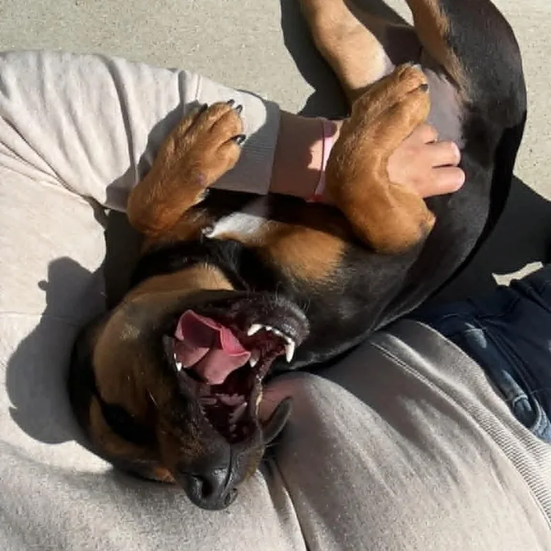 Penny Lou thumbnail 3