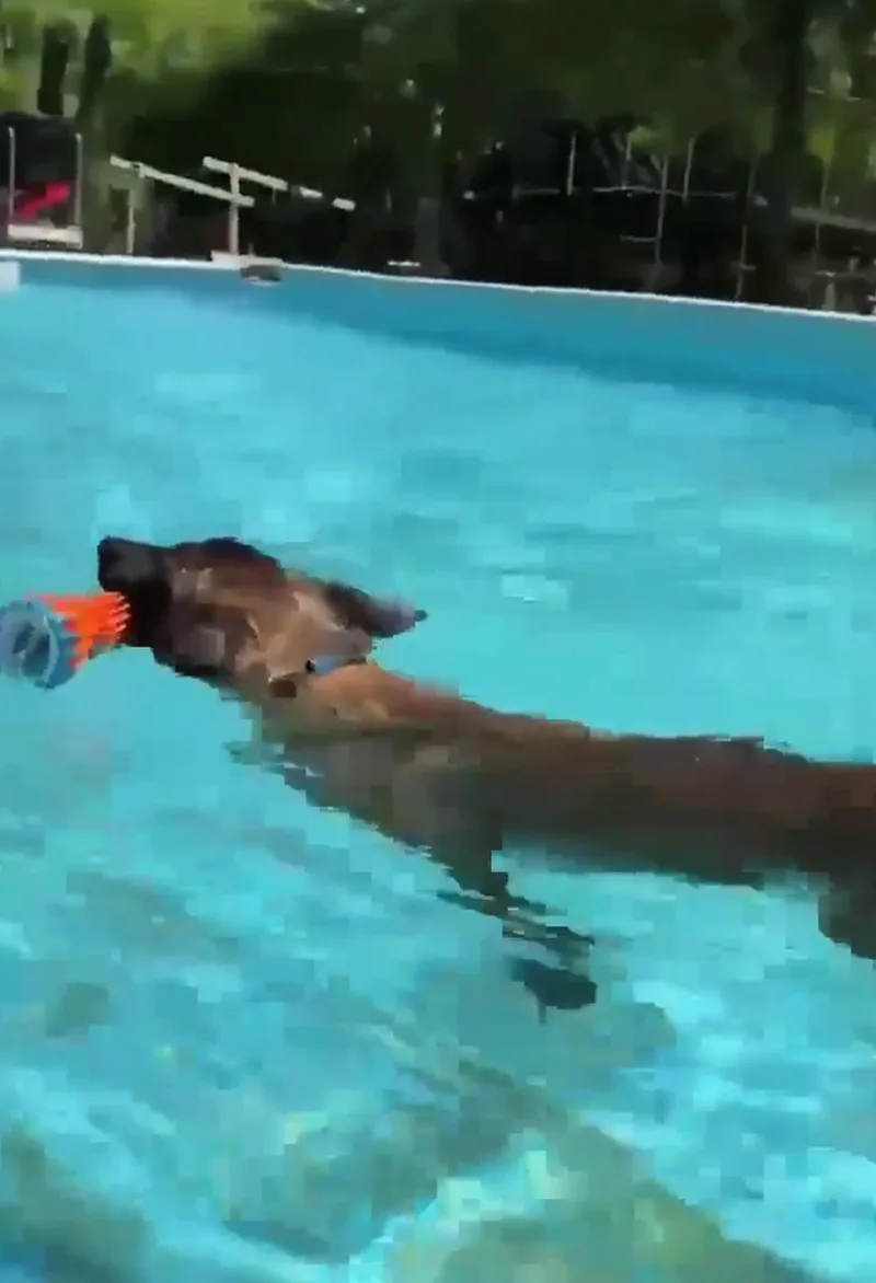 Toast thumbnail 3