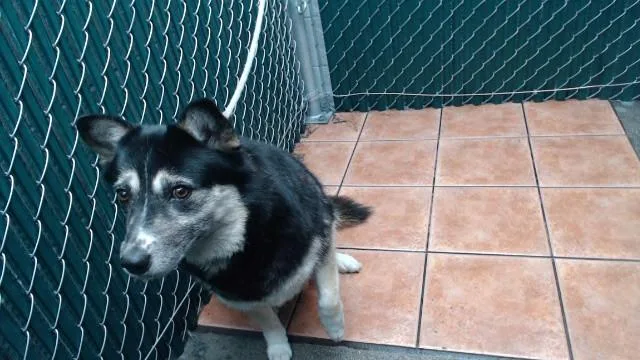 Lucy