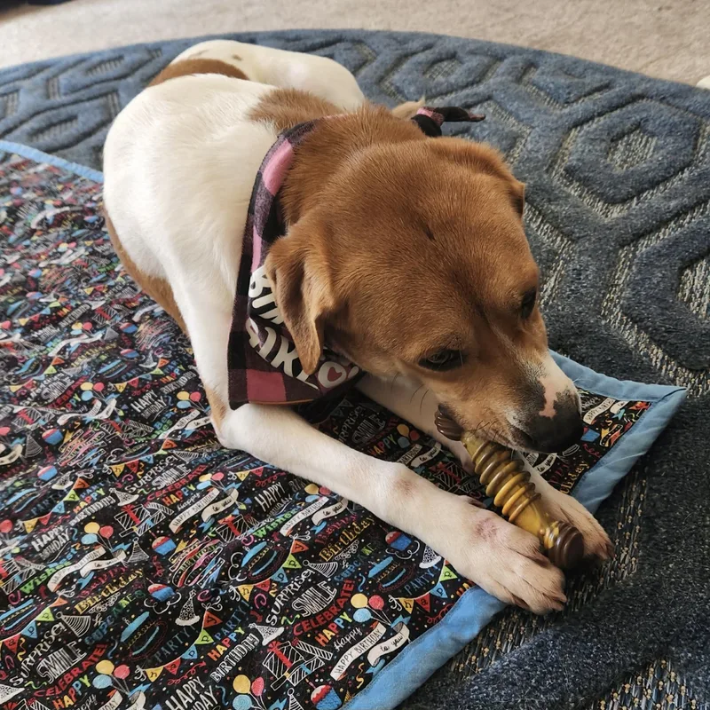 Daisy Mae thumbnail 2