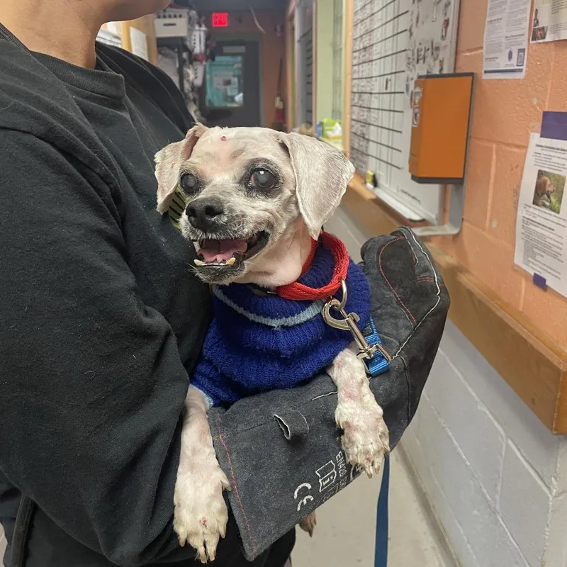 Bubble Boy thumbnail 2