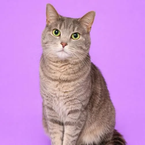 Dumpling thumbnail 2