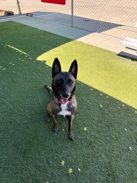 Arya  Located In thumbnail 2