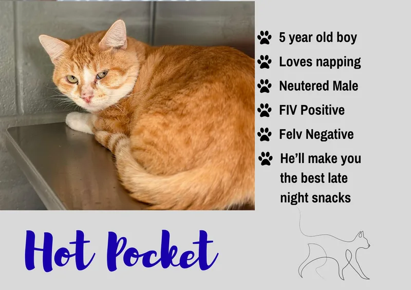 Hot Pocket