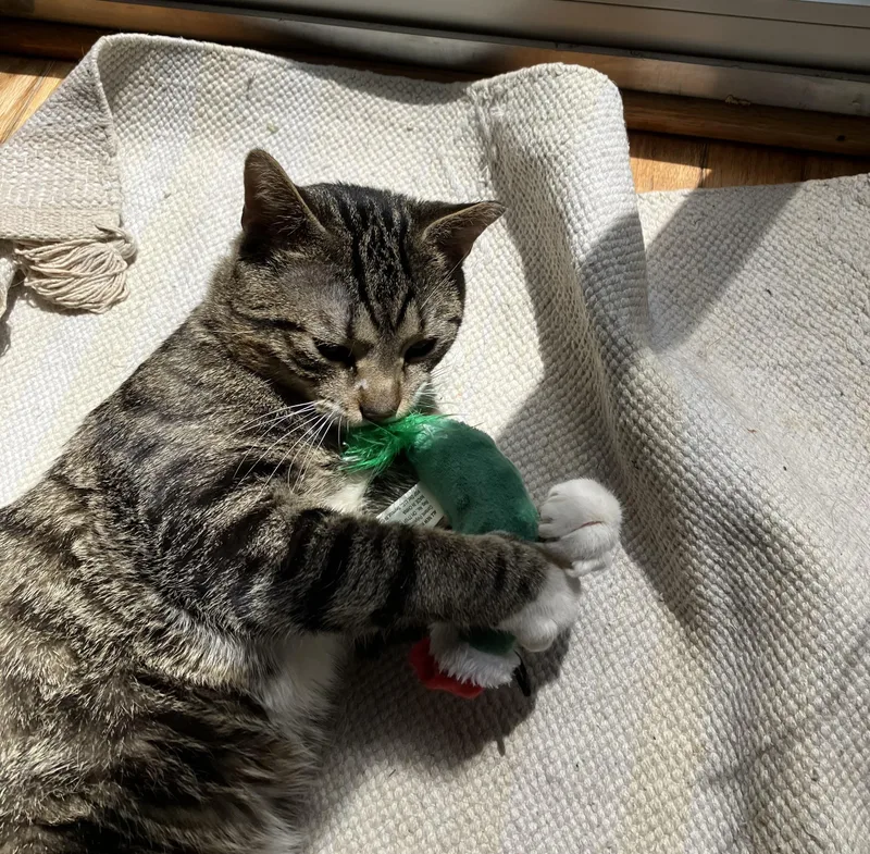 Marvin