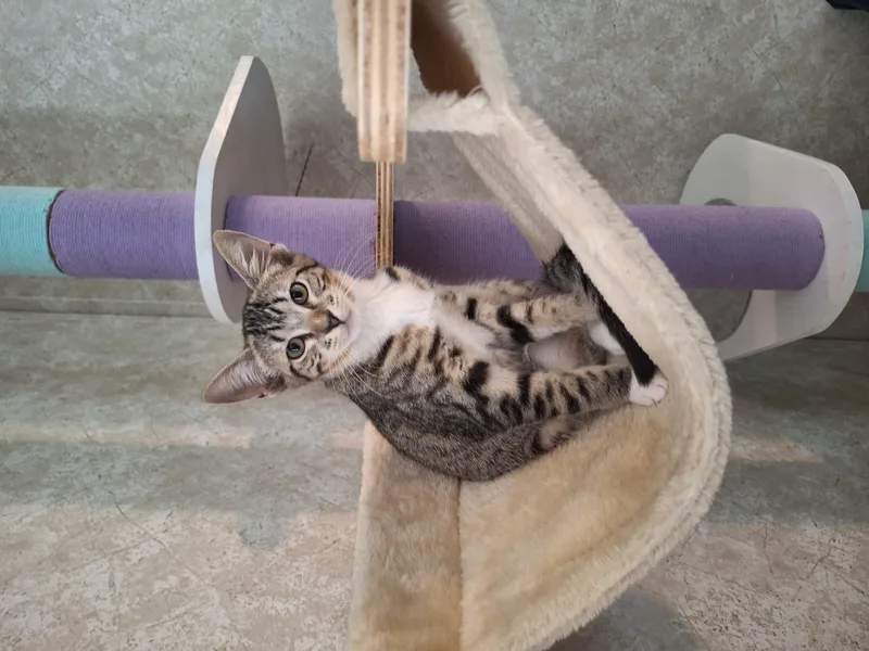 Samantha thumbnail 3