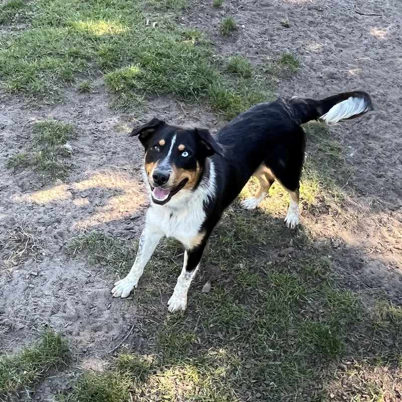 Kenny thumbnail 2