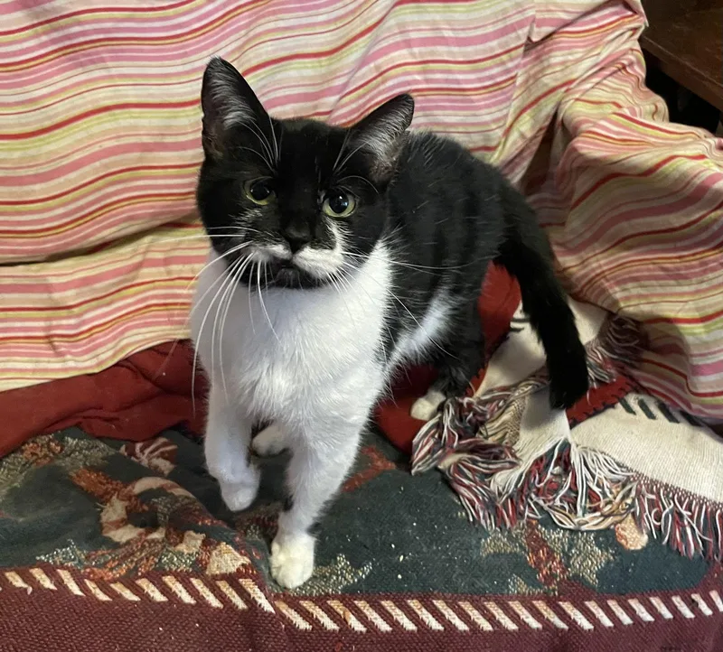 Aurora “rory” thumbnail 2