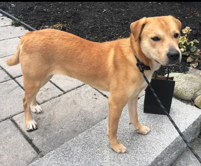 Tay  In New thumbnail 4