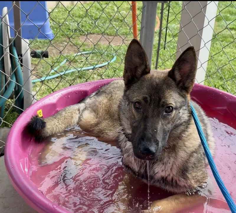 Carolina thumbnail 2