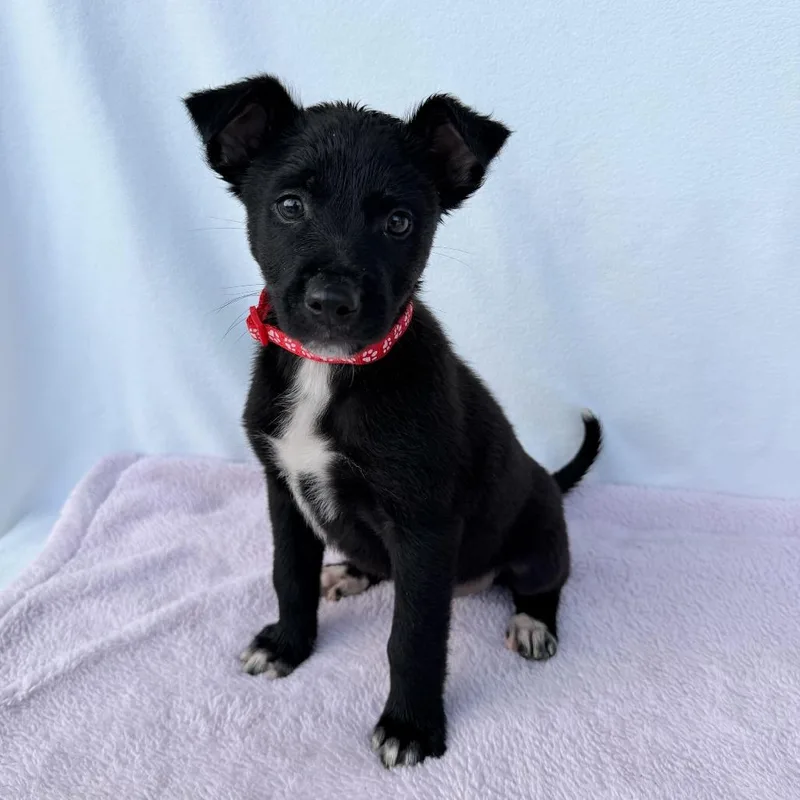 Felicity thumbnail 5