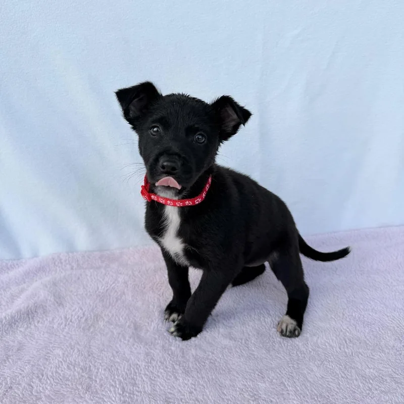 Felicity thumbnail 6