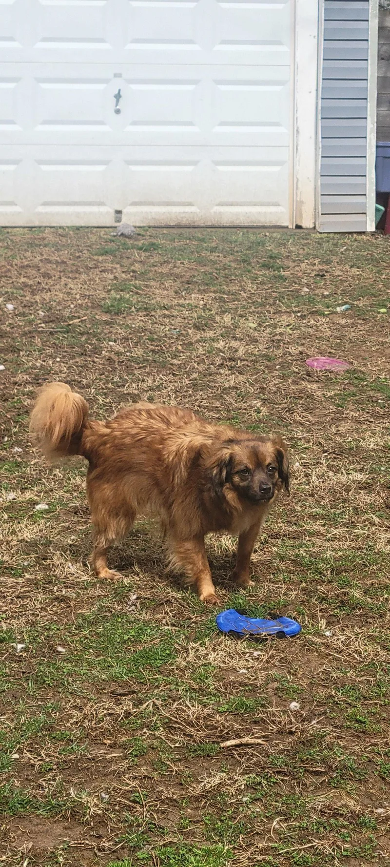 Jack Jr. thumbnail 2