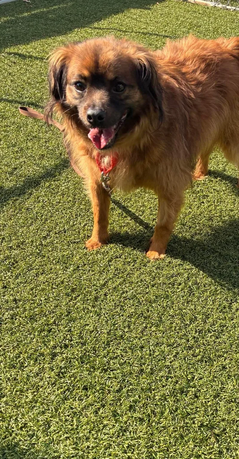 Jack Jr. thumbnail 3