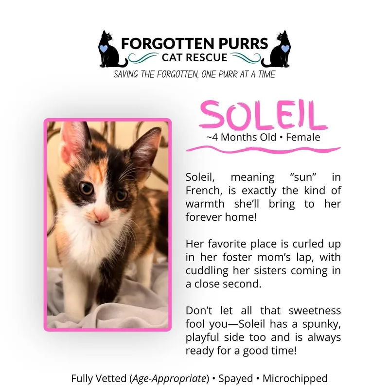 Soleil