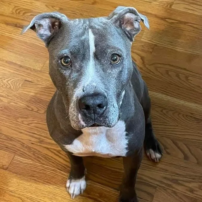 Sapphire thumbnail 4