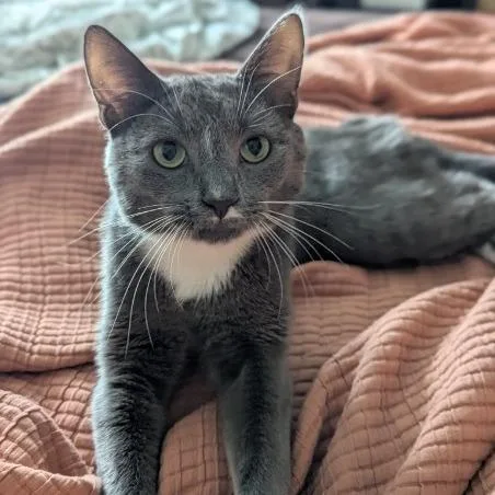 Duke