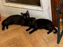 Melba Wsalem thumbnail 2