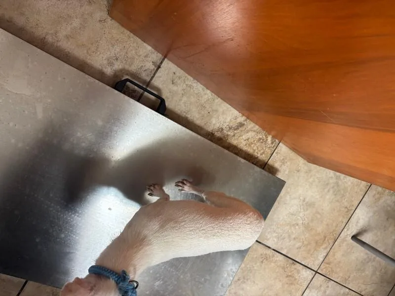 Tanky