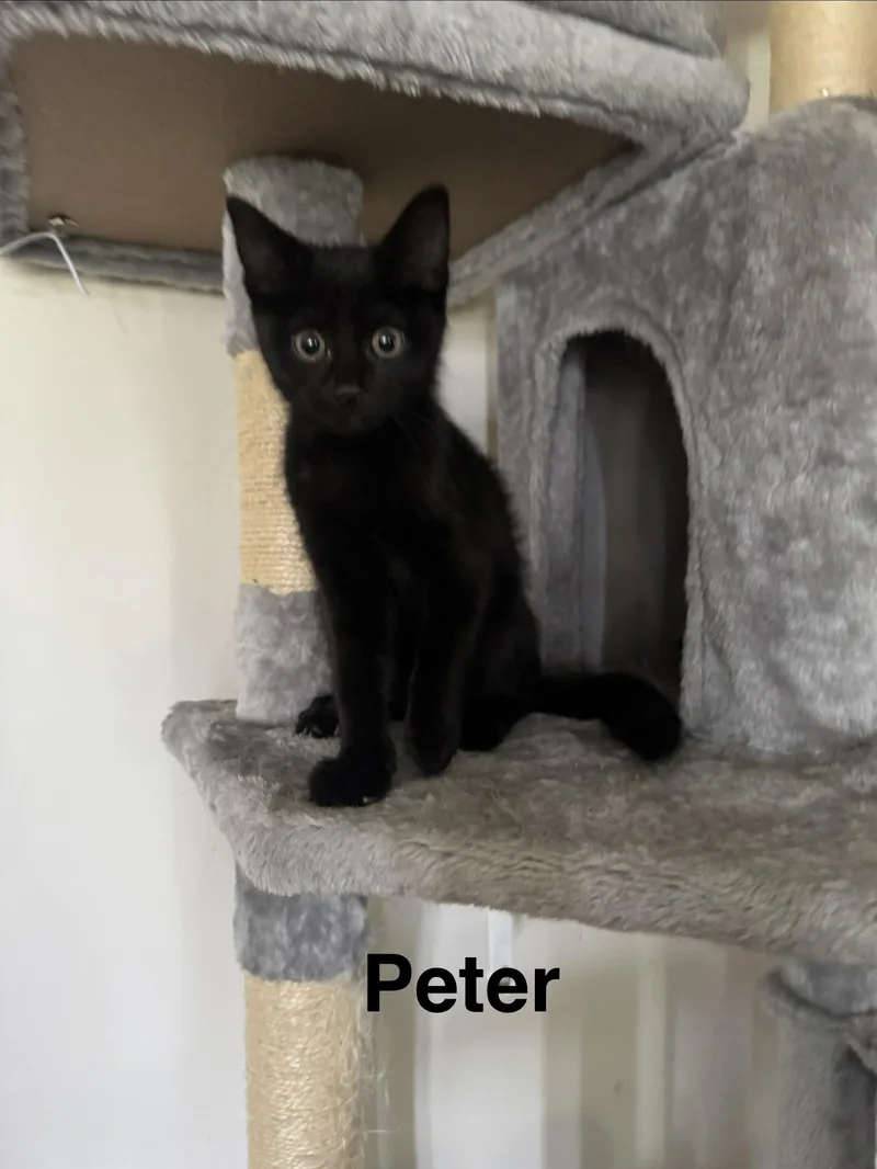 Miles and Peter thumbnail 4