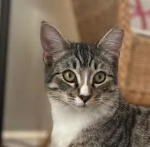 Marky Mark thumbnail 2