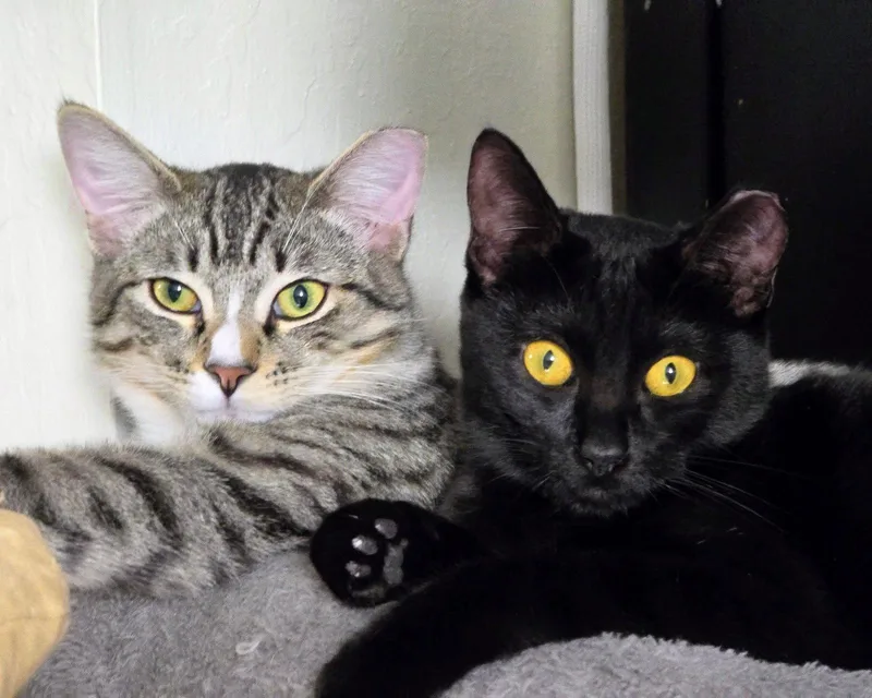 Marky Mark thumbnail 3