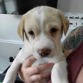 Instructions thumbnail 3